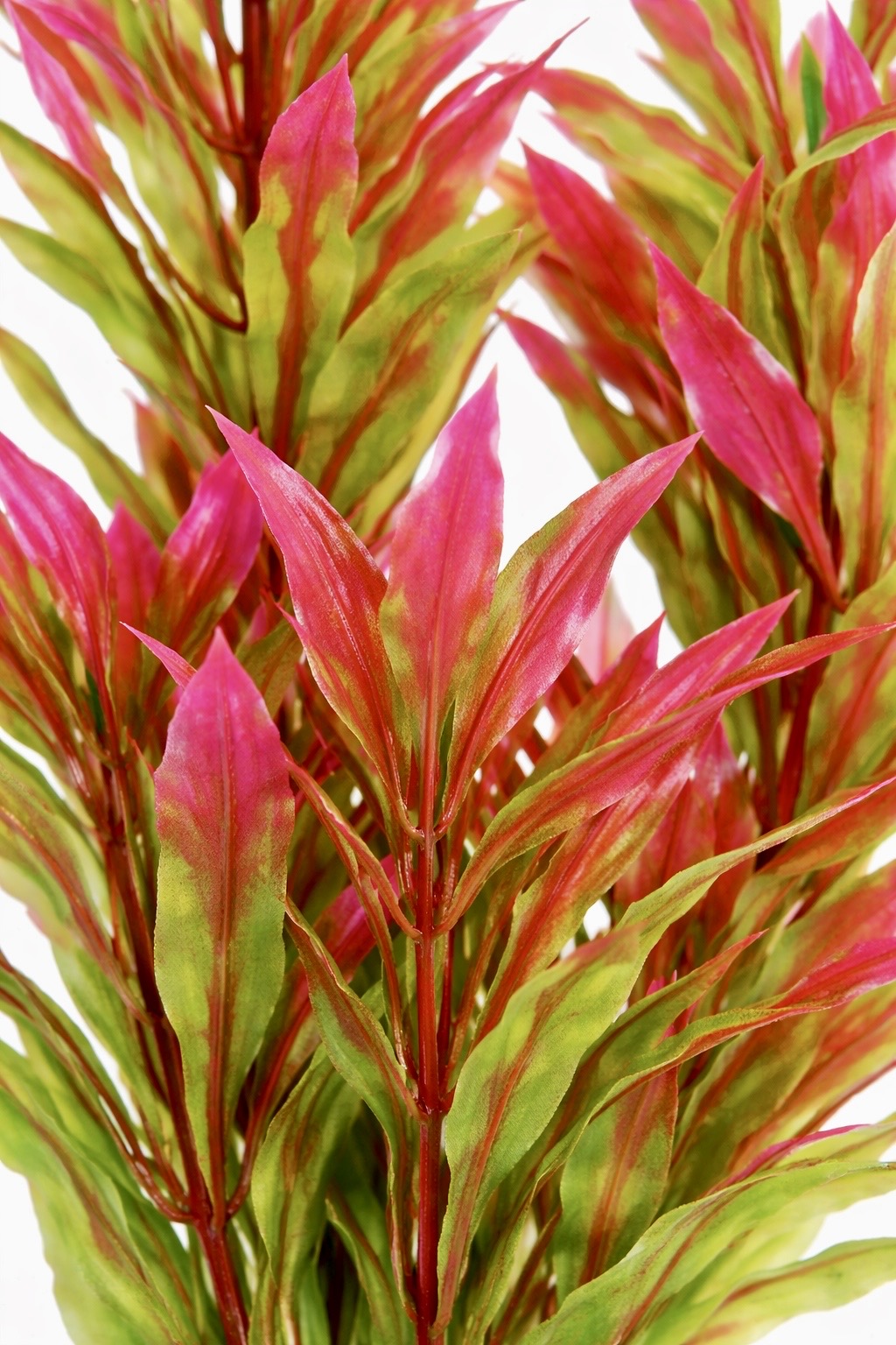 Scarlet Reef Artificial Aquarium Plant - 15cm Fish Tank Décor