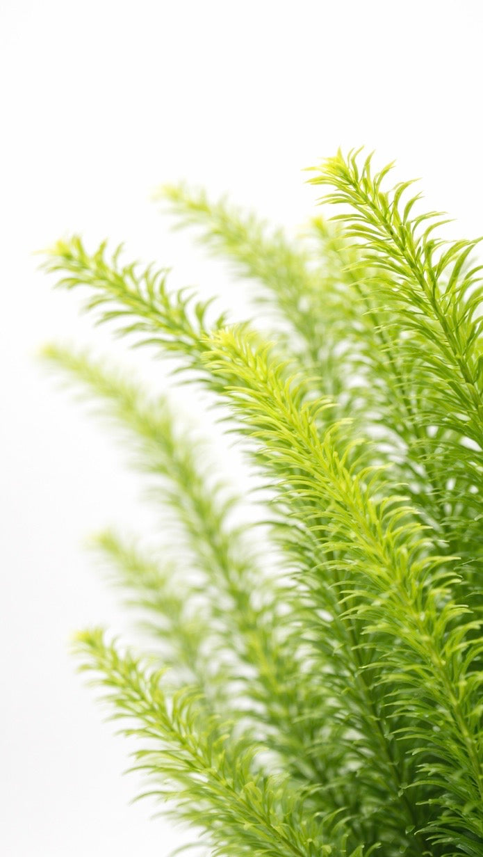 Lush Green Artificial Aquarium Grass Plant – 30cm Natural Fish Tank Décor