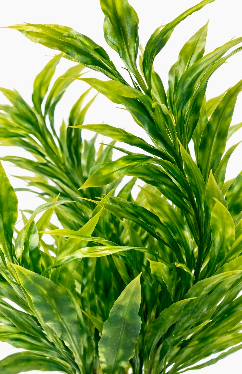 Riverleaf Artificial Aquarium Plant - 15cm Fish Tank Décor