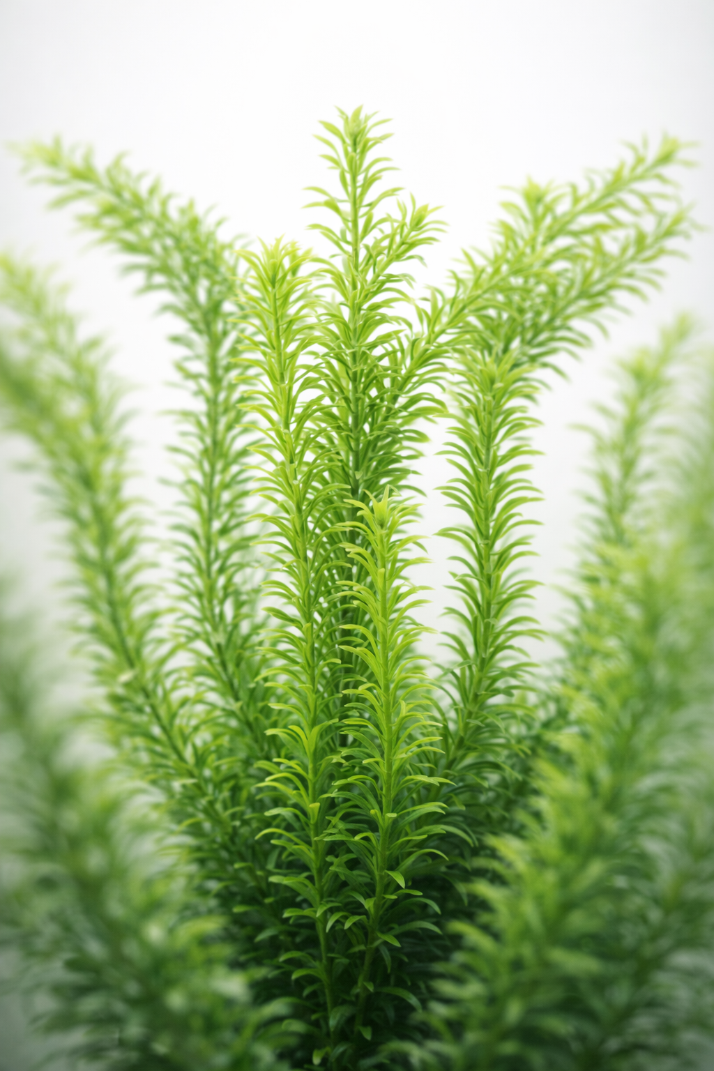 Lush Green Artificial Aquarium Grass Plant – 30cm Natural Fish Tank Décor