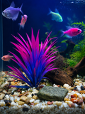 Neon Effect Artificial Plant – 10cm
