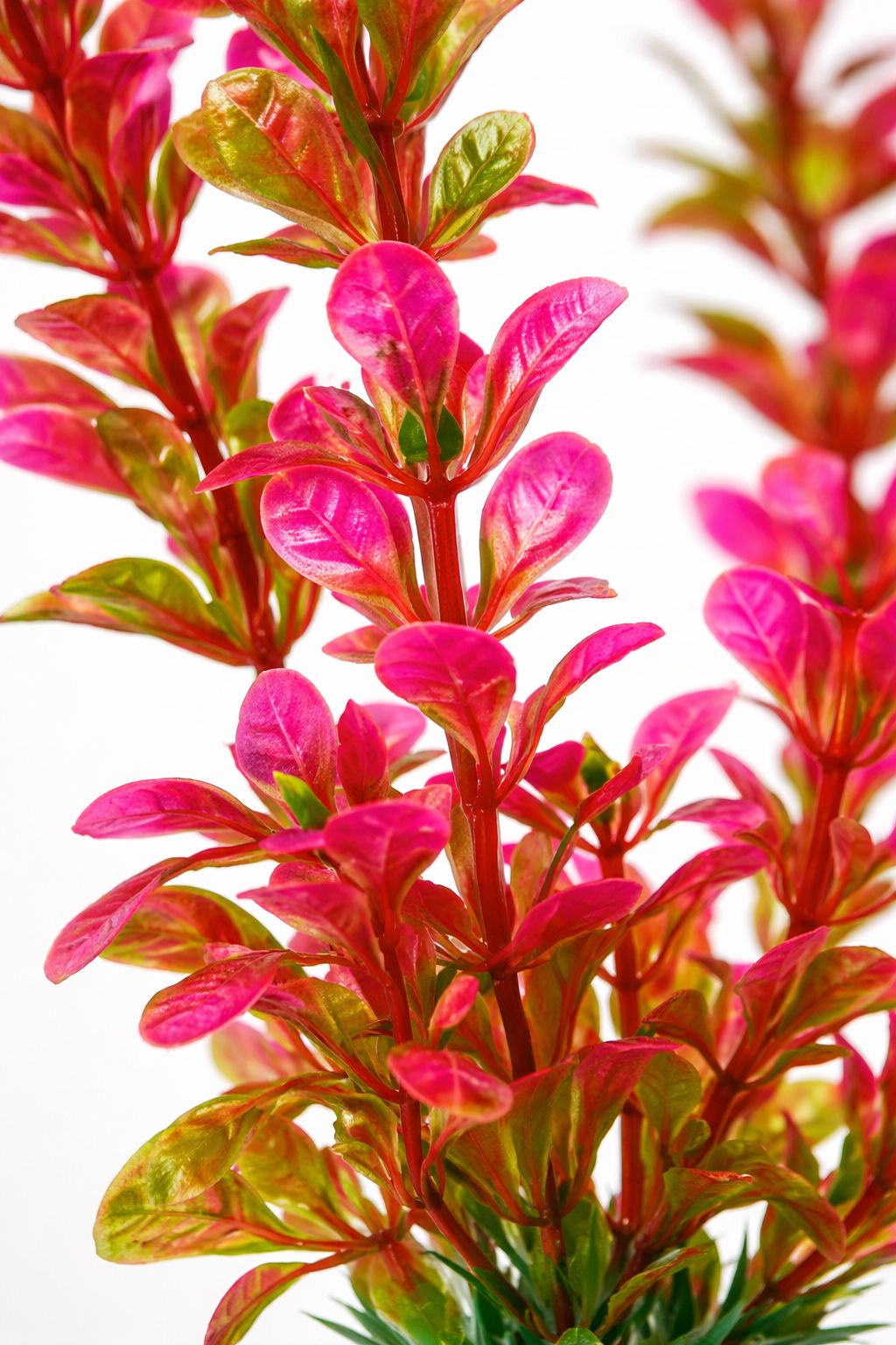 Colourful Artificial Aquatic Plant – 20cm Aquarium Aquascaping Décor